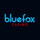 BlueFox Casino Review — Bonus & Real Player Ratings logo